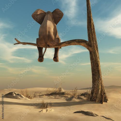 Elephant stands on thin branch of withered tree